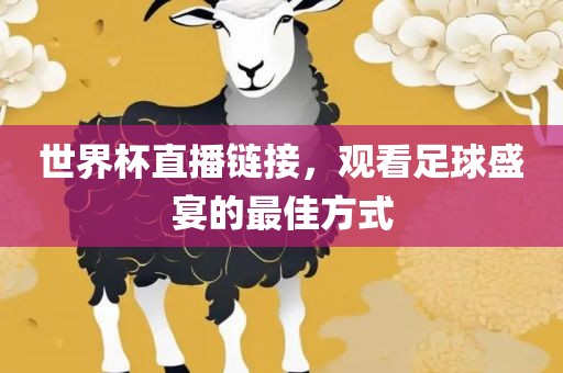 世界杯直播链接，观看足球盛宴的最佳方式