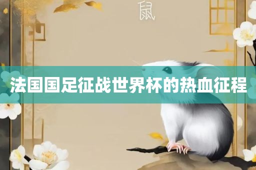 法国国足征战世界杯的热血征程