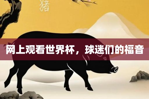 网上观看世界杯，球迷们的福音