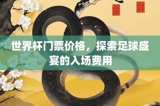 世界杯门票价格，探索足球盛宴的入场费用