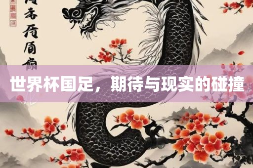 世界杯国足，期待与现实的碰撞
