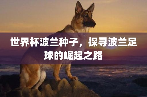 世界杯波兰种子，探寻波兰足球的崛起之路