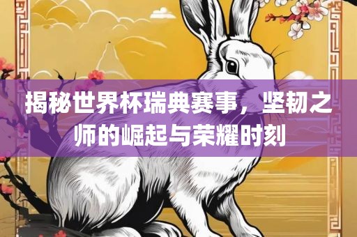 揭秘世界杯瑞典赛事，坚韧之师的崛起与荣耀时刻