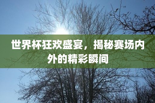 世界杯狂欢盛宴，揭秘赛场内外的精彩瞬间