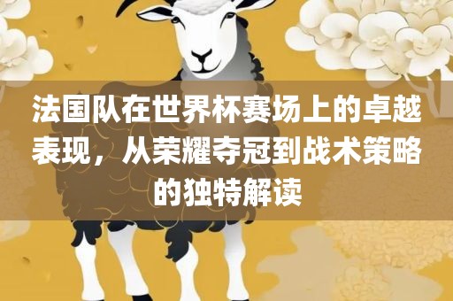 法国队在世界杯赛场上的卓越表现，从荣耀夺冠到战术策略的独特解读