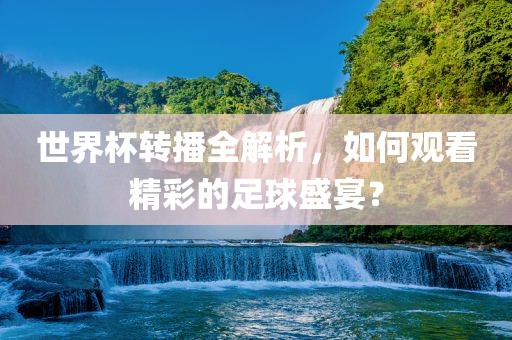 观看足球盛宴