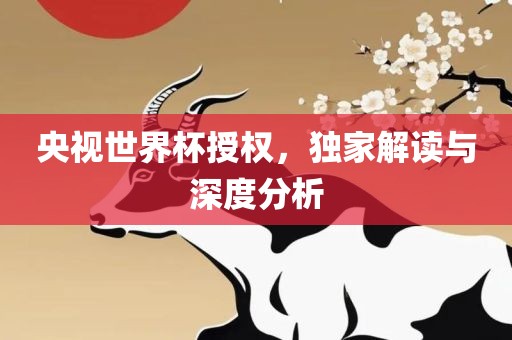 央视世界杯授权，独家解读与深度眉山市正发家政服务有限公司分析