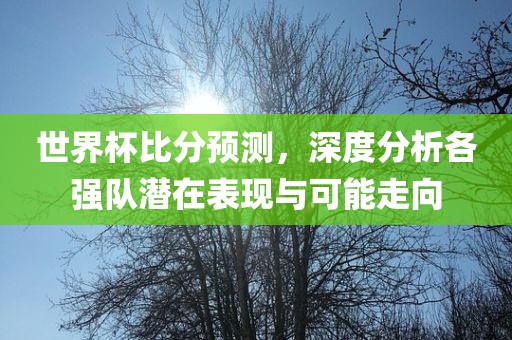 世界杯比分预测，深度分析各强队潜在表现与可能走向