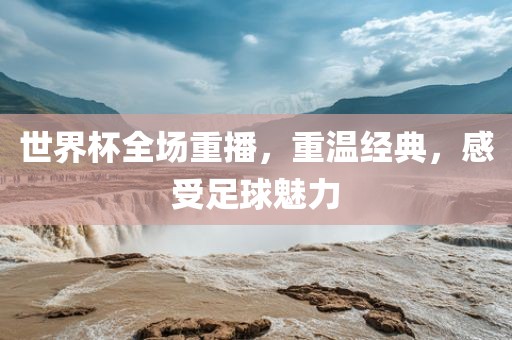 世界杯全场重播，重温经典，感受足球魅力