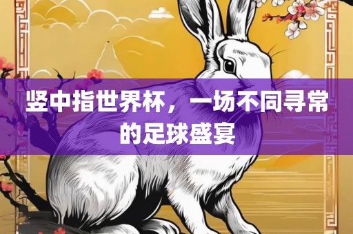 竖中指世界杯，一场不同寻常的足球盛宴