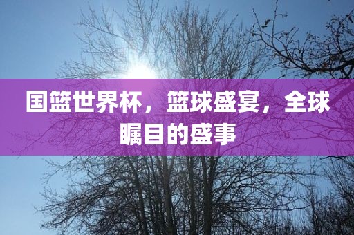 国篮世界杯，篮球盛宴，全球瞩目的盛事