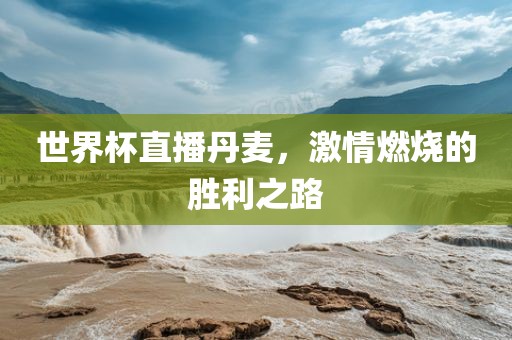 世界杯直播丹麦，激情燃烧的胜利之路