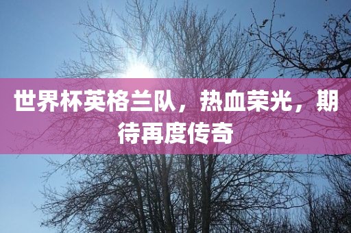 世界杯英格兰队，热血荣光，期待再度传奇