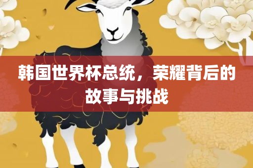 韩国世界杯总统，荣耀背后的故事与挑战