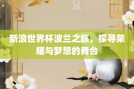 新浪世界杯波兰之旅，探寻荣耀与梦想的舞台眉山市正发家政服务有限公司