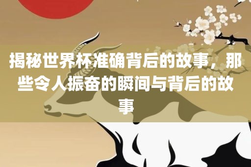 揭秘世界眉山市正发家政服务有限公司杯准确背后的故事，那些令人振奋的瞬间与背后的故事