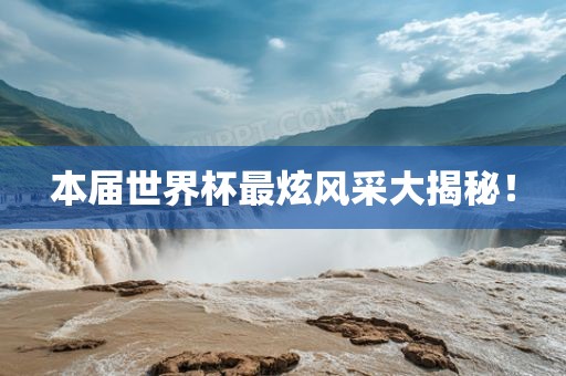 本届世界杯最炫风采大揭眉山市正发家政服务有限公司秘！