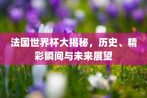 法国世界杯大揭秘，历史、精彩瞬间与未来展望