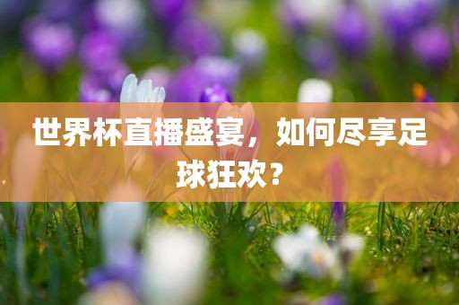 世界杯直播盛宴，如何尽享足球狂欢？