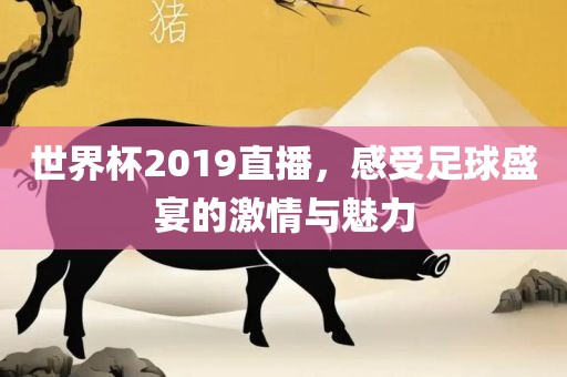 世界杯2019直播，感受足球盛宴的激情与魅力