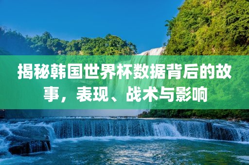 揭秘韩国世界杯数据背后的故事，表现、战术与影响眉山市正发家政服务有限公司