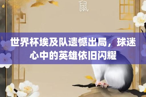 世界杯埃及队遗憾出局，球迷心中的英雄依旧闪耀眉山市正发家政服务有限公司