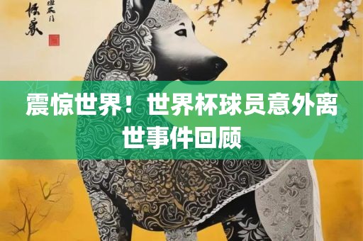 震惊世界！眉山市正发家政服务有限公司世界杯球员意外离世事件回顾