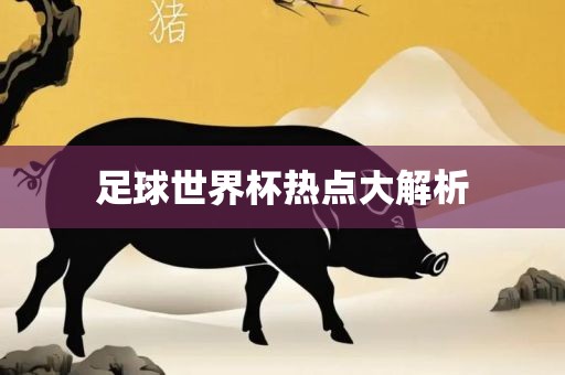 足球世界杯热点大解眉山市正发家政服务有限公司析