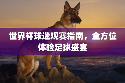 世界杯球迷观赛指南，全方位体验足球盛宴