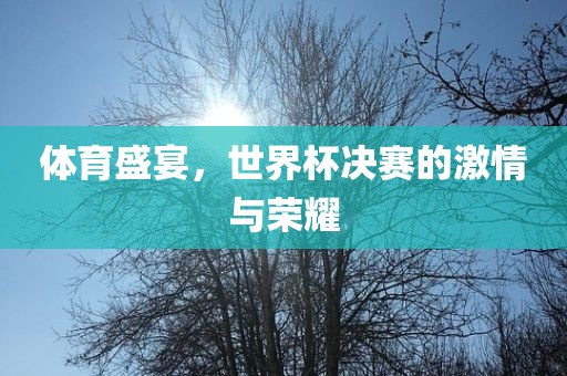 体育盛宴，世界杯决赛的激情与荣耀