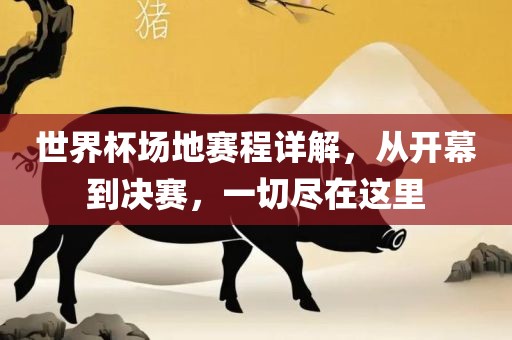 世界杯场地赛程详解，从开幕到决赛，一切尽在这里