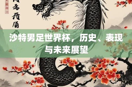 沙特男足世界杯，历史、表现与未来展望