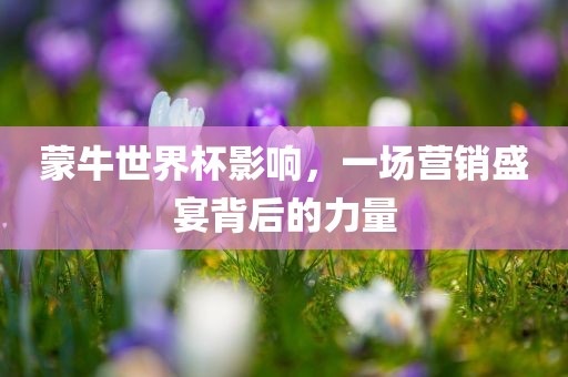 蒙牛世界杯影响，一场营销盛宴背后的力量