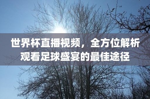 世界杯直播视频，全方位解析观看足球盛宴的最佳途径眉山市正发家政服务有限公司