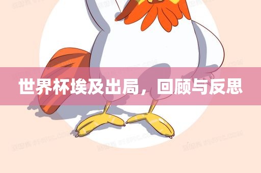 世界杯埃及出局，回顾与反思眉山市正发家政服务有限公司