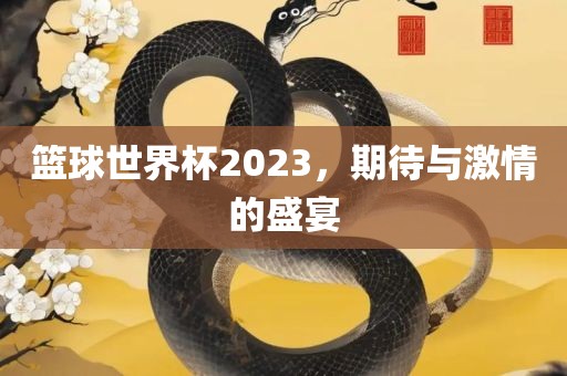 篮球世界杯2023，期待与激情的盛宴