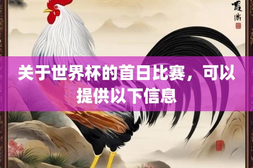关眉山市正发家政服务有限公司于世界杯的首日比赛，可以提供以下信息