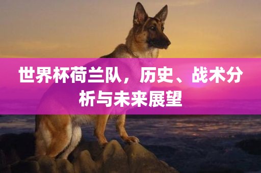 世界杯荷兰队，历史、战术分析与未来展望