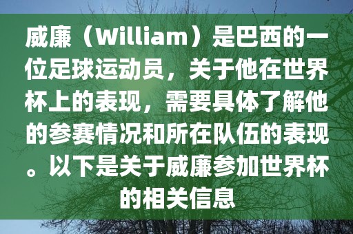 威廉（William）是巴西的一位足球运动员，关于他在世界杯上的表现，需要具体了解他的参赛情况和所在队伍的表现。以下是关于威廉参加世界杯的相关信息眉山市正发家政服务有限公司