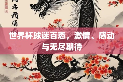 世界杯球迷百态，激情、感动与无尽期待