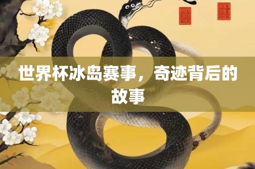 世界杯冰岛赛事，奇迹背后的故事