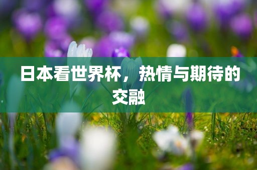 日本看世界杯，热情与期待的交融眉山市正发家政服务有限公司