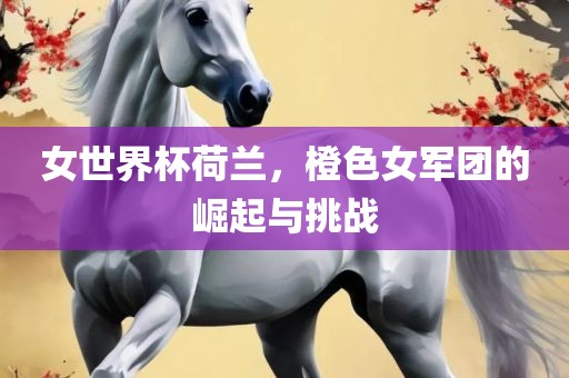 女世界杯荷兰，橙色女军团的崛起与挑战眉山市正发家政服务有限公司