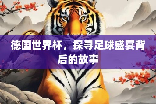 德国世界杯，探寻足球盛宴背后的故事