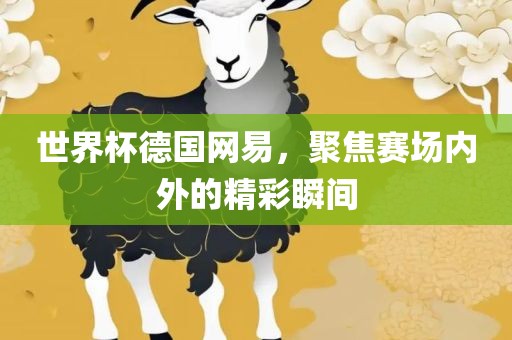 世界杯德国网易，聚焦赛场内外的精彩瞬间