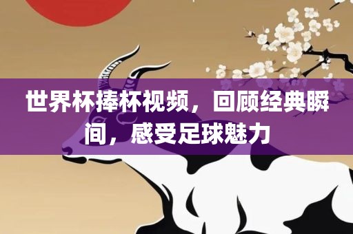 世界杯捧杯视频，回顾经典瞬间，感受足球魅力