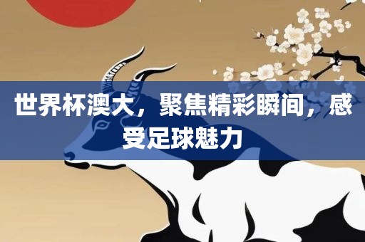 世界杯澳大，聚焦精彩瞬间，感受足球魅力