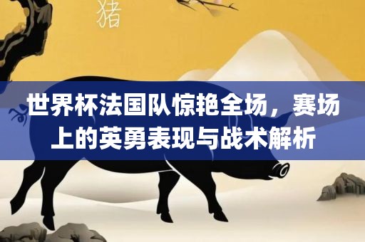 世界杯法国队惊艳全场，赛场上的英勇表现与战术解析