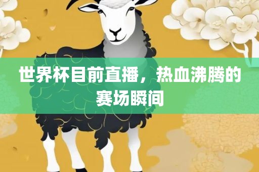 世界杯目前直播，热血沸腾的赛场瞬间