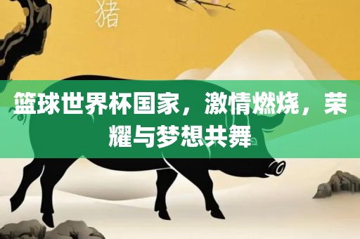 篮球世界杯国家，激情燃烧，荣耀与梦想共舞眉山市正发家政服务有限公司